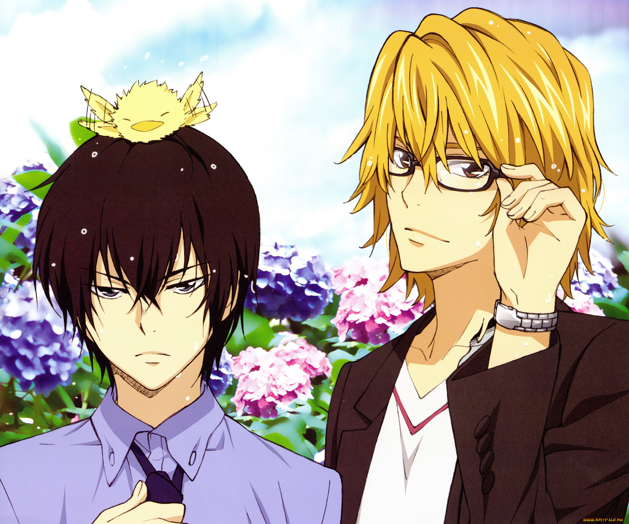 , katekyo hitman reborn, 